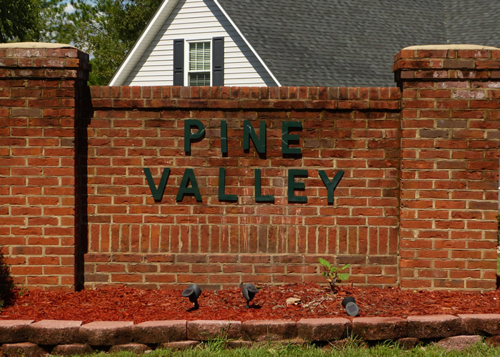 Pine Valley South real estate