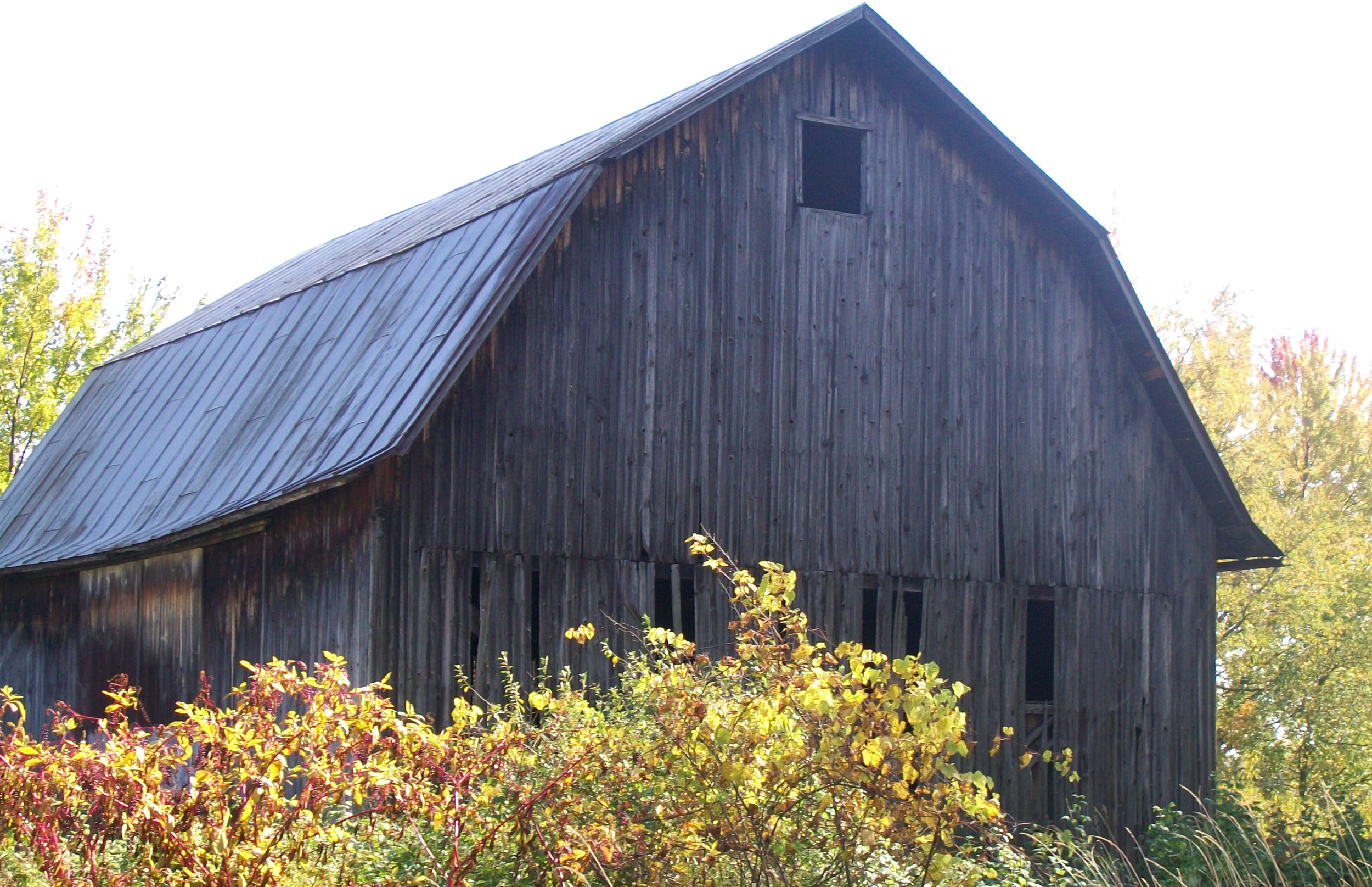 MERVILLE & BLACK CREEK Real Estate Search Homes For Sale