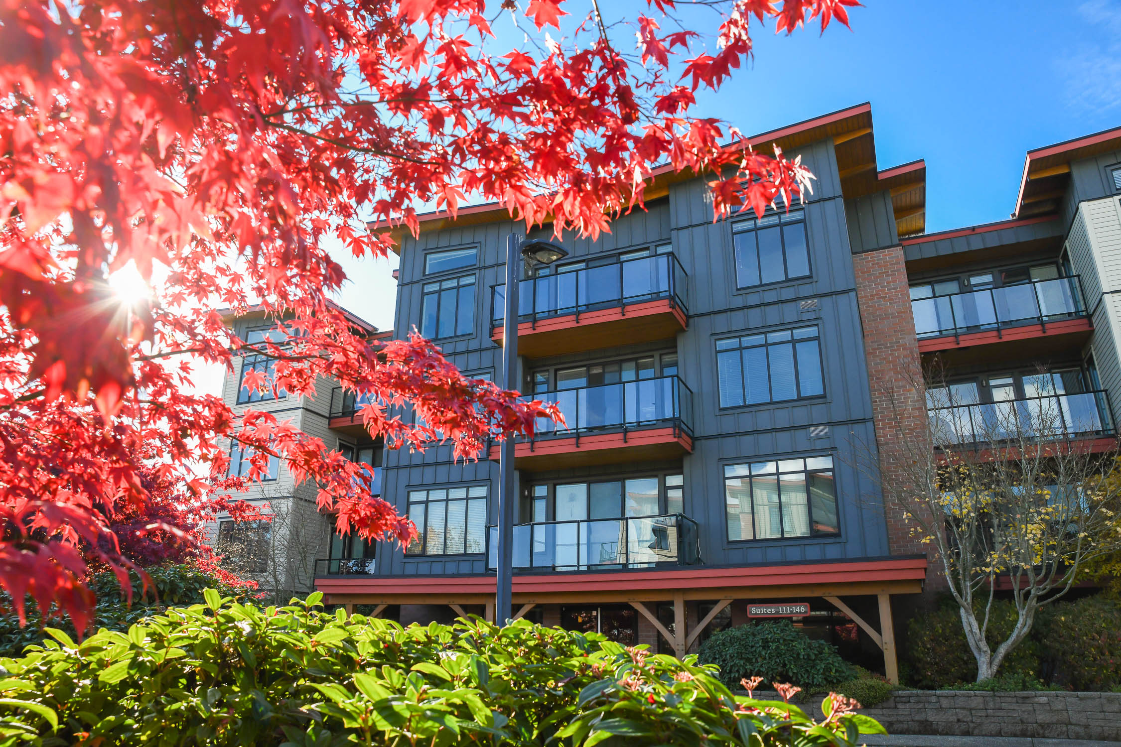 ront exterior view of trumpeters landing at 146 2300 mansfield dr courtenay bc featuring modern coastal condo building in prime location