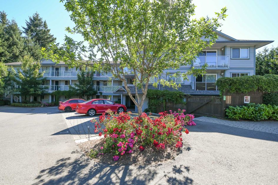 305-840-shamrock-place-comox-condo-for-sale-modern-kitchen-and-open-living-space
