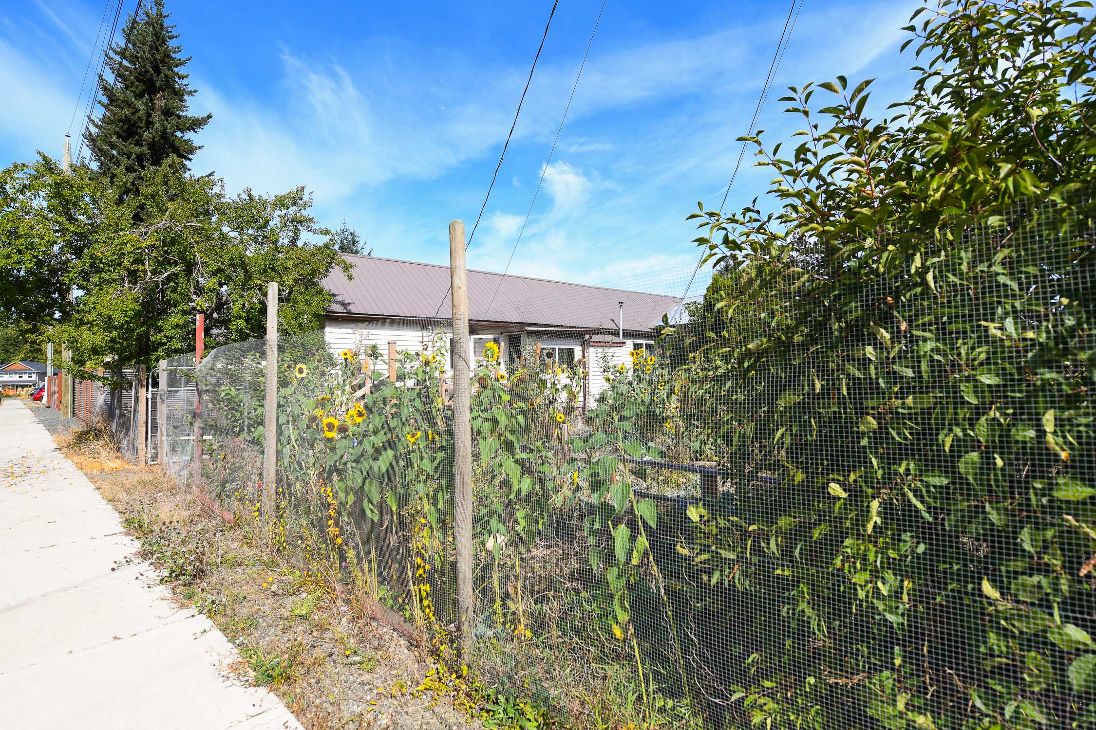 Front exterior view of 3390 Nikkei Place in Cumberland, BC, featuring a fixer-upper home on a spacious 0.30-acre lot with mature trees, established gardens, and a quiet residential setting&mdash;highlighting redevelopment potential and sought-after Cumberland real estate on Vancouver Island.