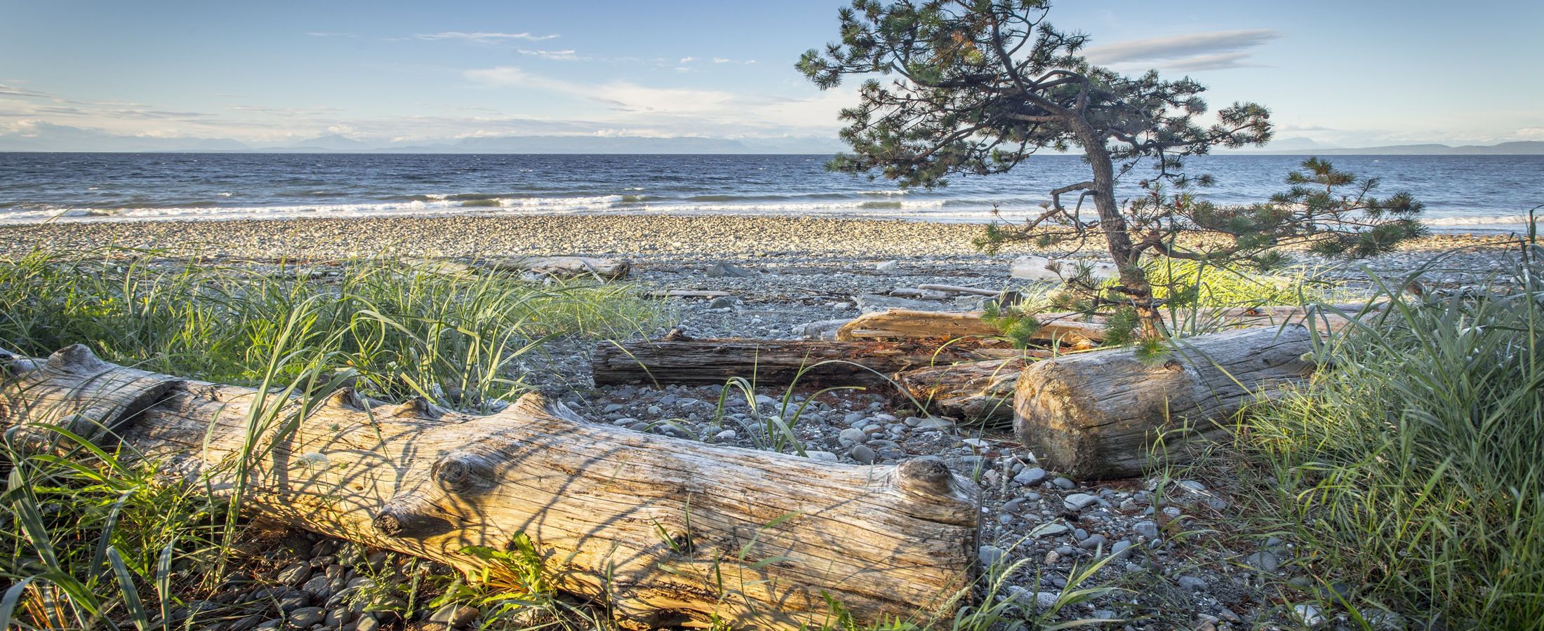 Comox Valley Real Estate Comox Valley Homes and Condos for Sale