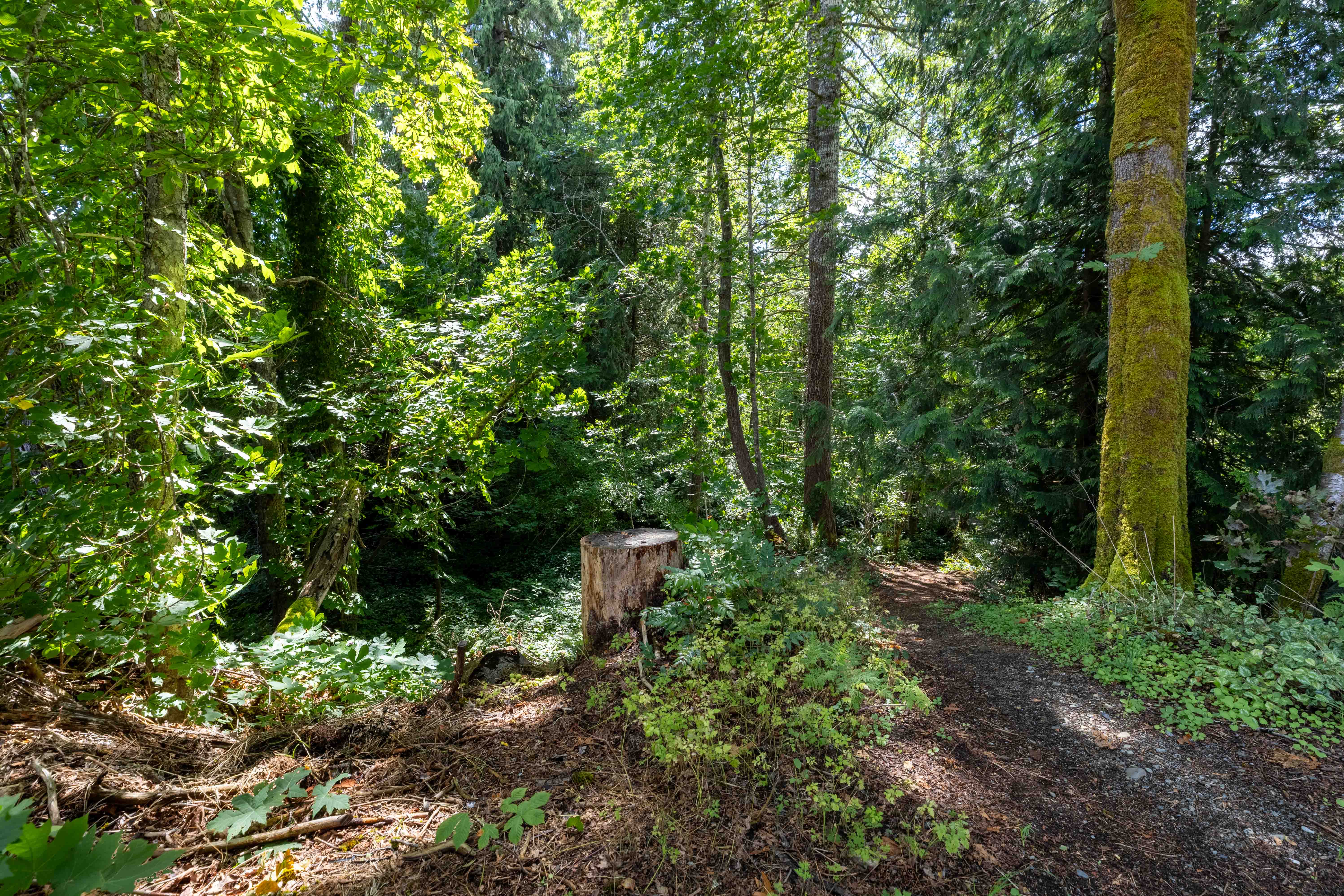 Vacant 0.19-acre residential lot on Allen Ave in Cumberland offering an exceptional opportunity to build a custom home, complete with professionally drafted plans for a main home and carriage house, just minutes from downtown and world-class mountain biking.