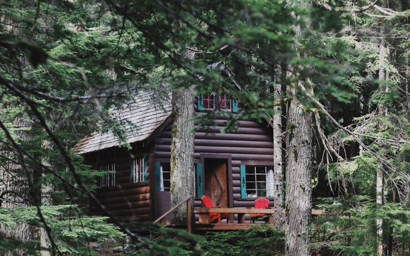 log cabin, panabode, heritage home, character home, cabin, vacation rental, summer home, vacation home, summer house, getaway, family vacation, lakeside, oceanfront, remote, off-grid, back to nature, handmade, heirloom, quaint, cozy