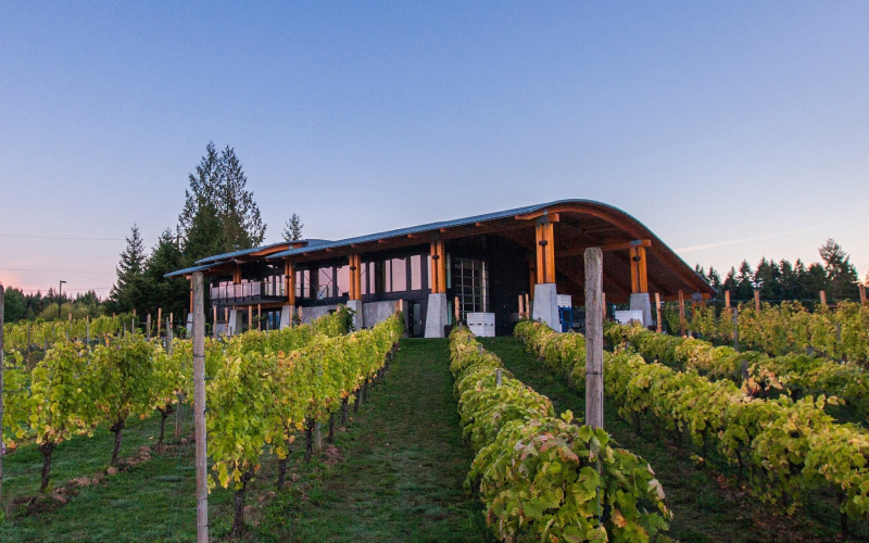 Blue Grouse Estate Winery in Duncan, cowichan valley real estate, acreages, farmland, countryside, farm to table, farm to fork, cowichan valley, CVRD, chemainus, ladysmith, cobble hill, malahat, winery, wine, bc wine, vinyard, vineyard, sommelier, lush