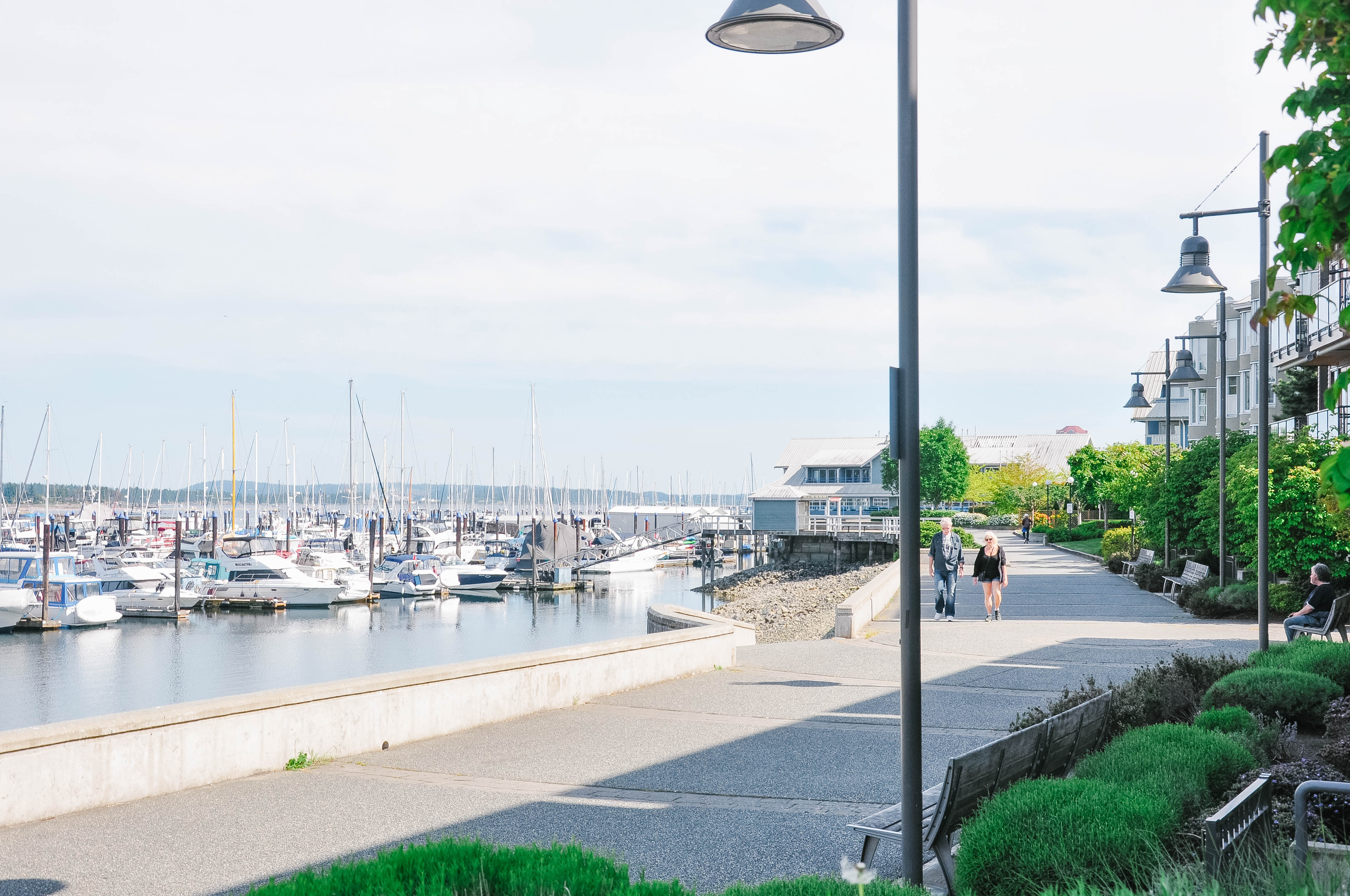 Brechin Hill BC Homes For Sale