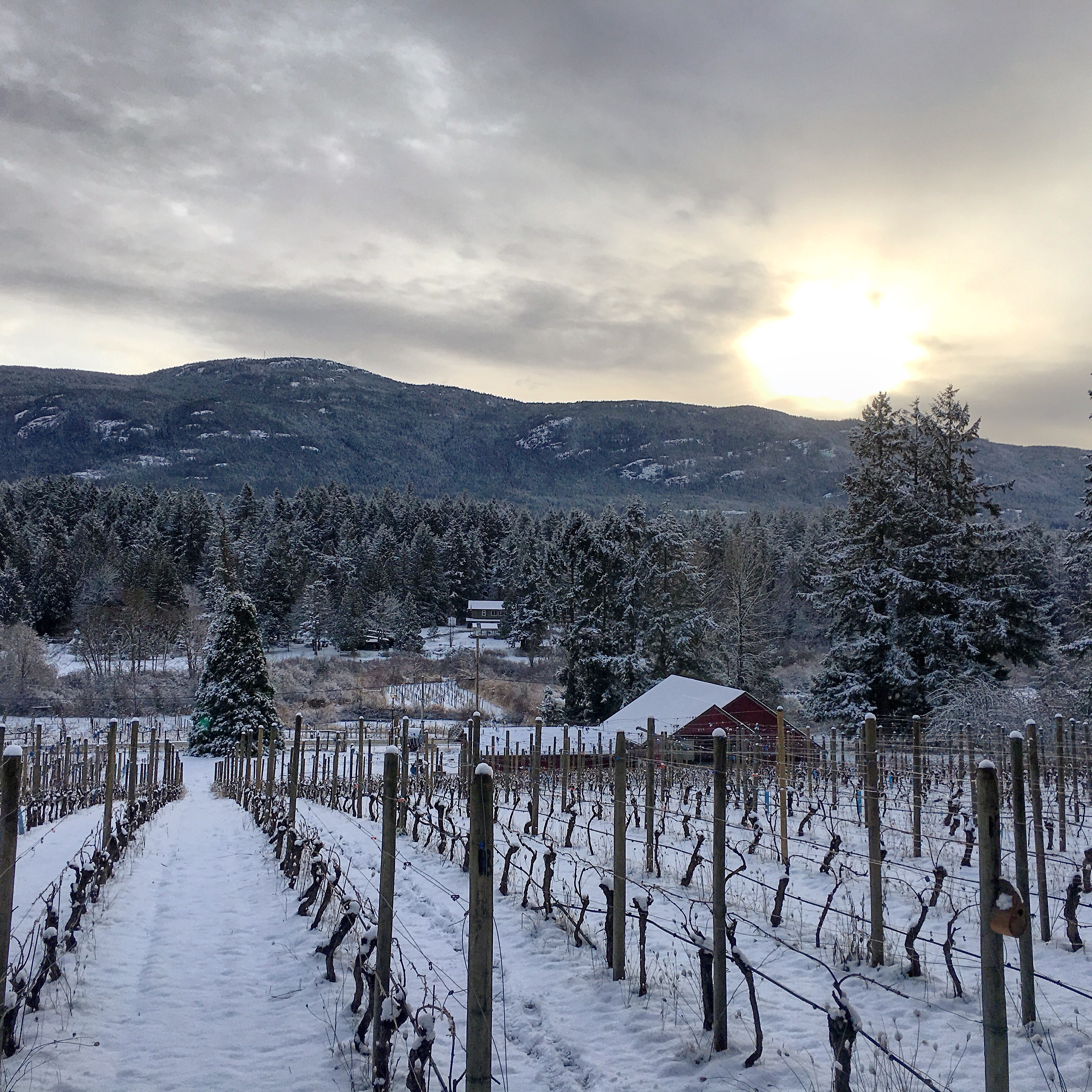 North Jingle Pot BC Homes For Sale