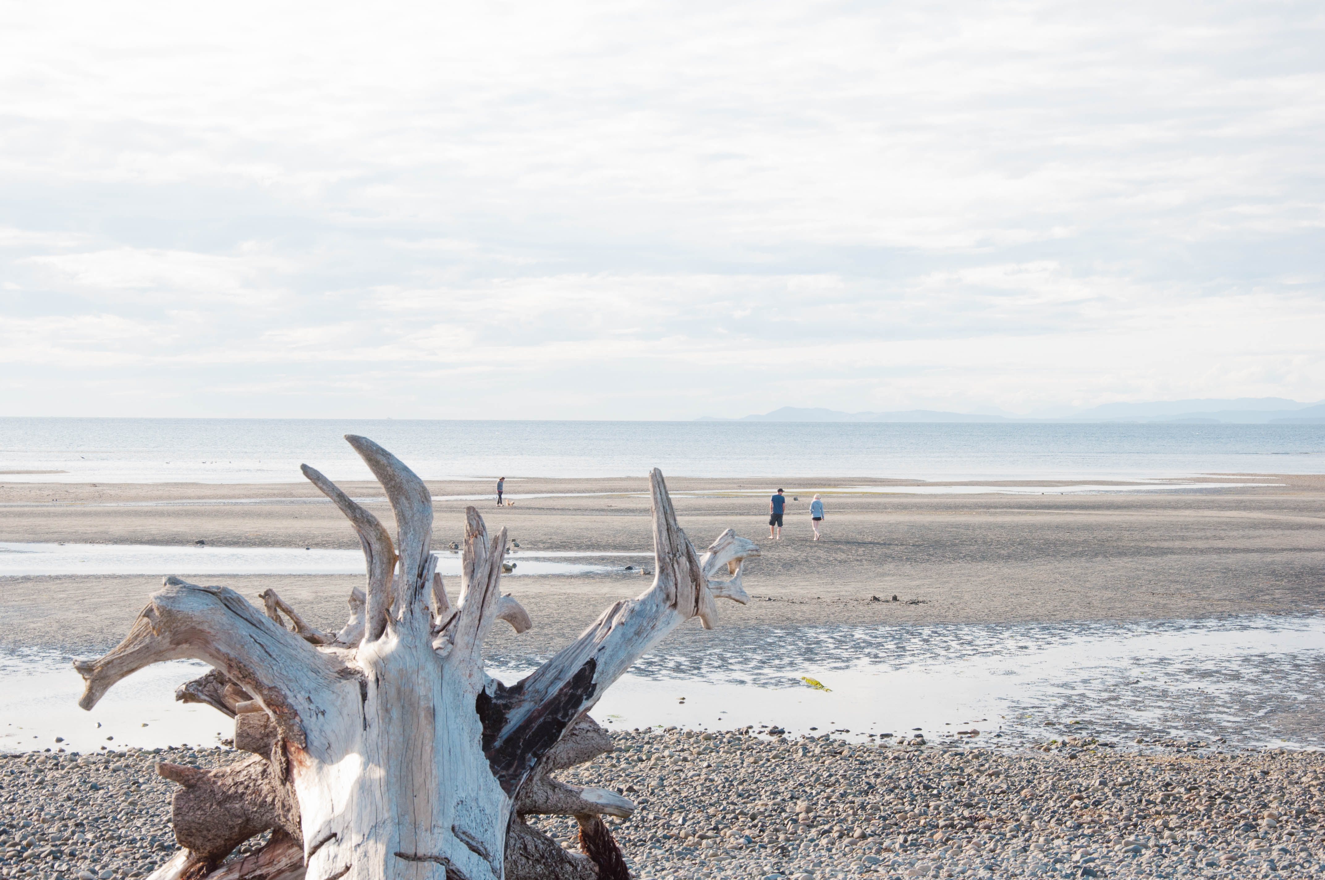 Parksville