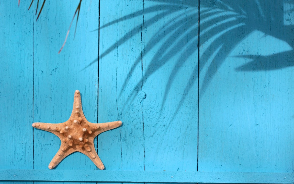 Coast Real Estate Search All Coast Homes