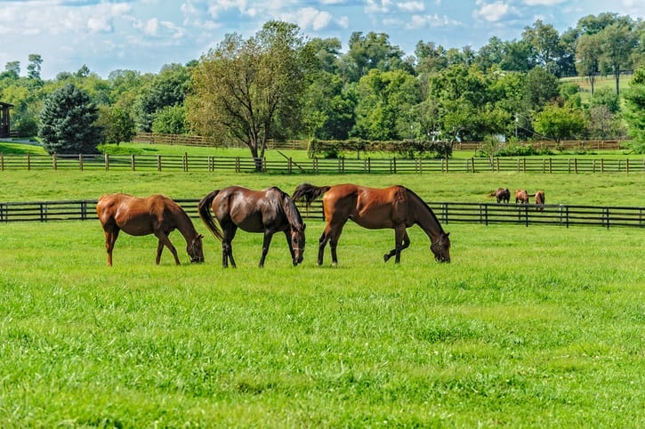 Homes on Acreage