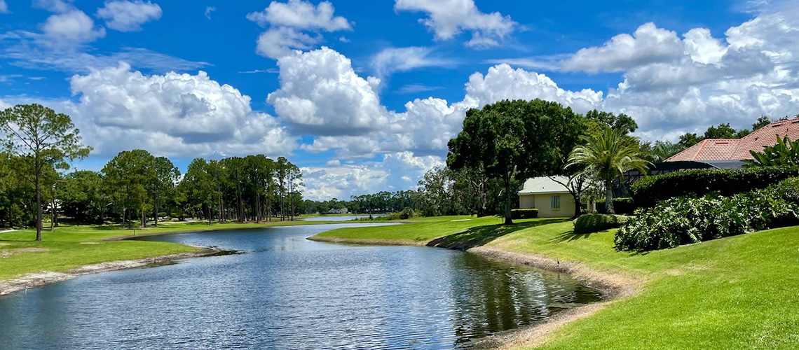 Waterfront Homes