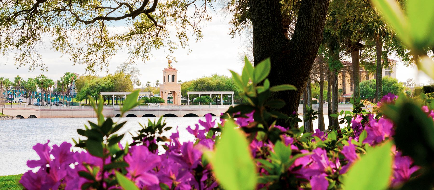 Altamonte Springs FL Homes for Sale - Dahlia Realty Group