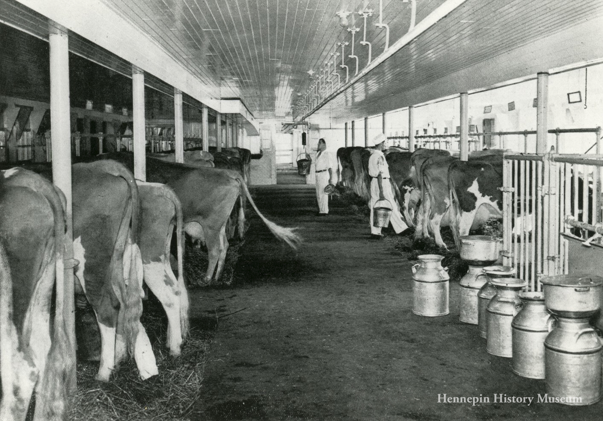 Boulder Bridge Farm