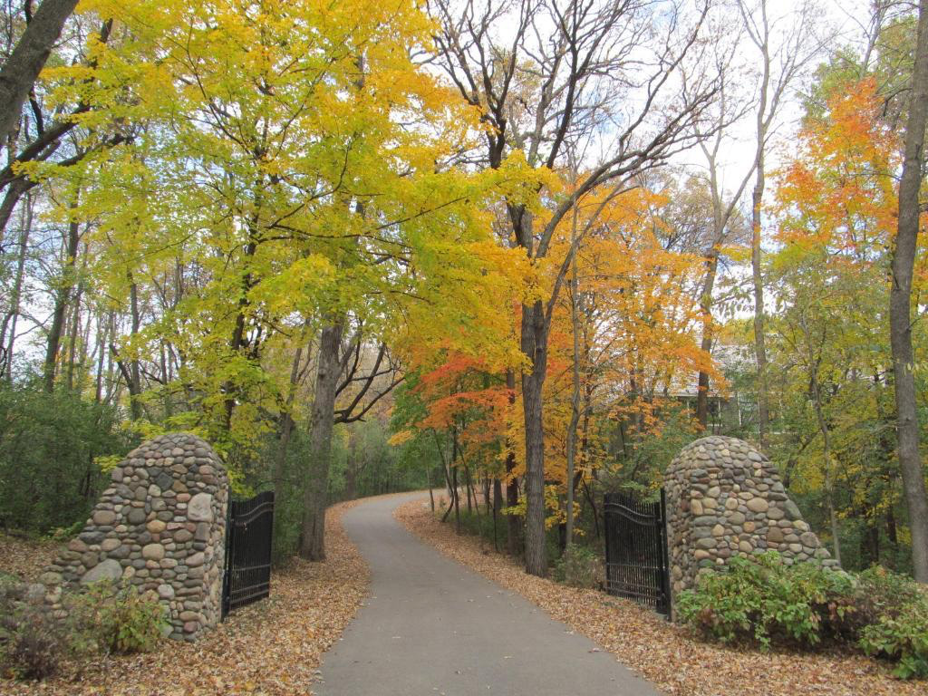 Enchanted Wood Wayzata