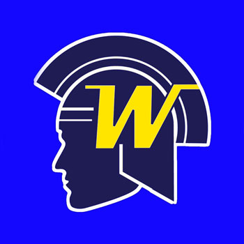 Homes for sale in Wayzata school District #284