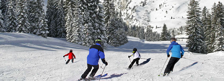 Alt Ski Area
