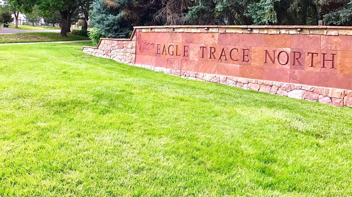 Best Houses & Real Estate For Sale in Eagle Trace North, Broomfield CO