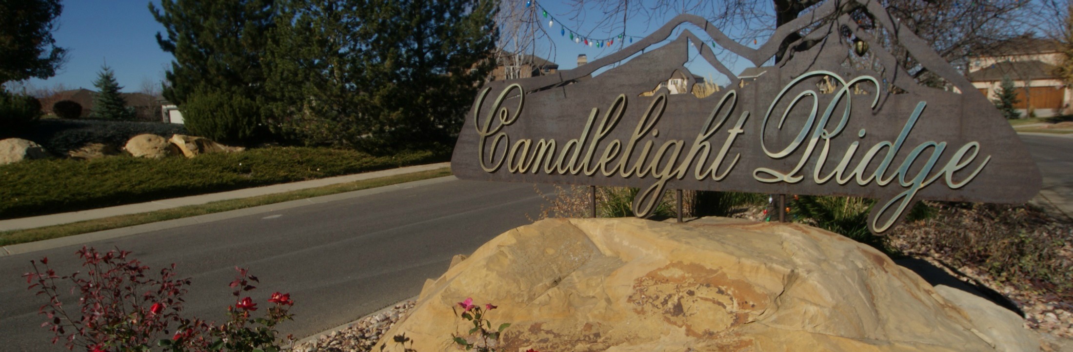 Best Houses & Real Estate For Sale in Candlelight Ridge, Erie CO