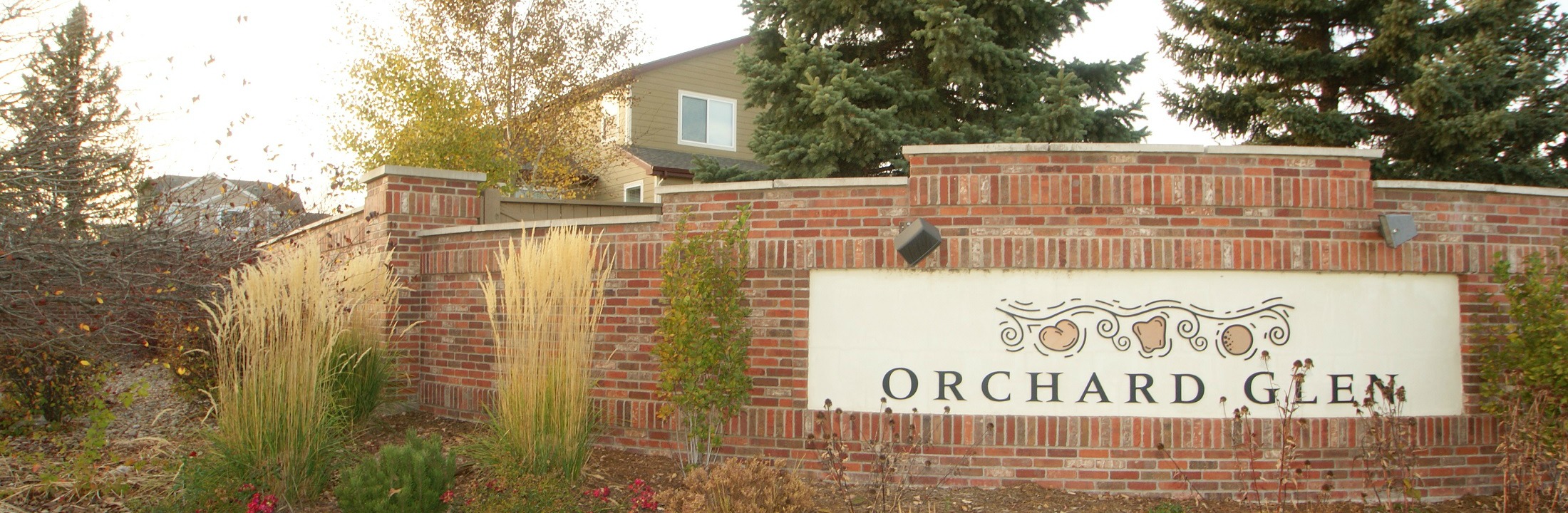 Best Houses & Real Estate For Sale in Orchard Glen, Erie CO
