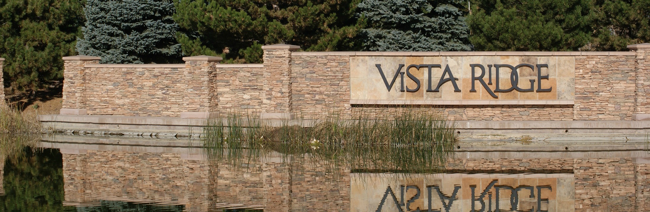 Best Houses & Real Estate For Sale in Vista Ridge, Erie CO