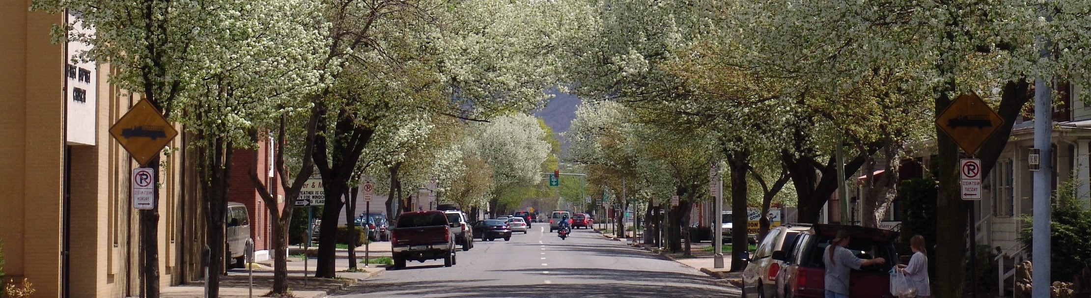 View Our Office Listings for Sale