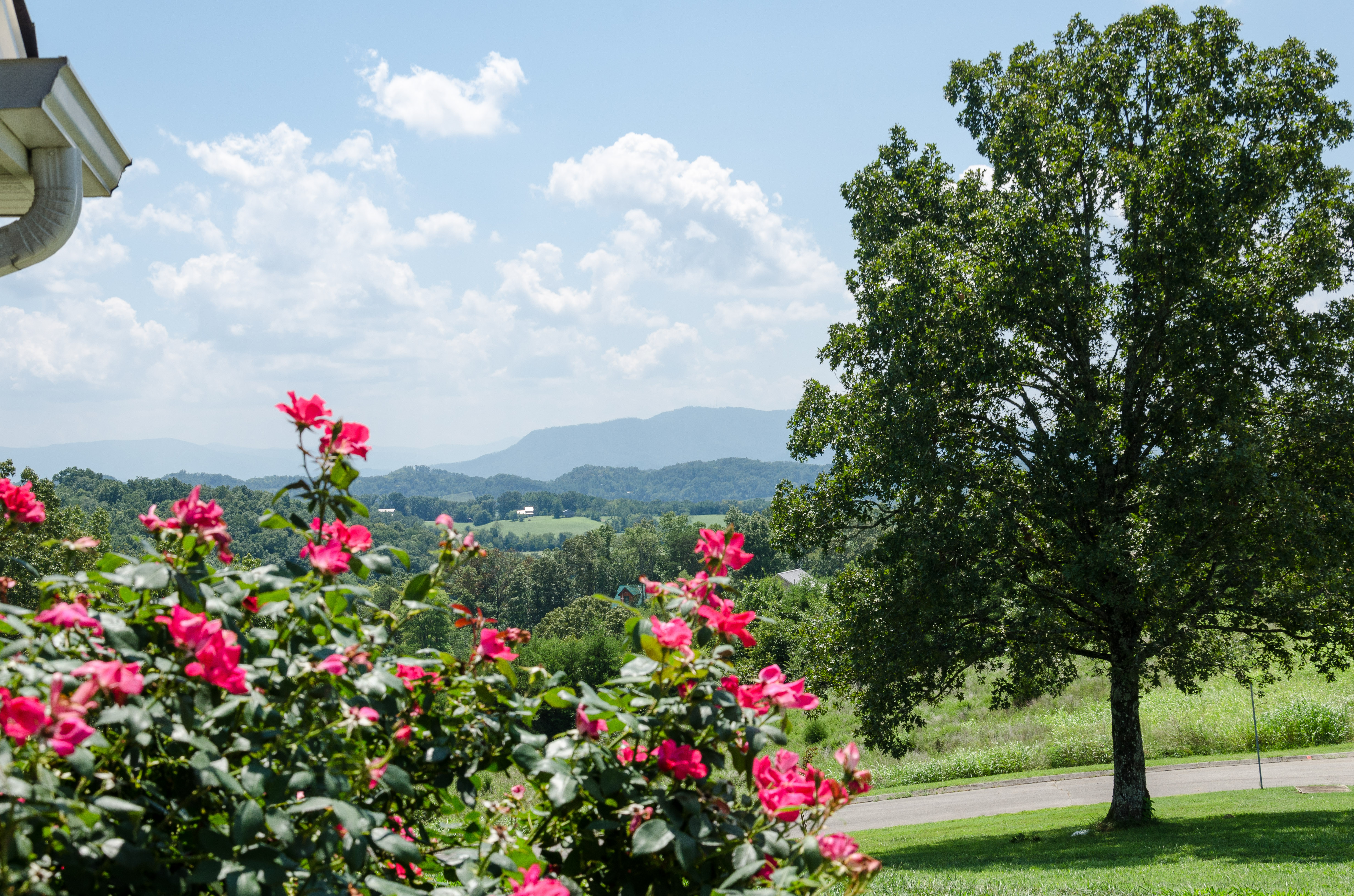 Cabins in Walland, Tennessee near the Great Smoky Mountains