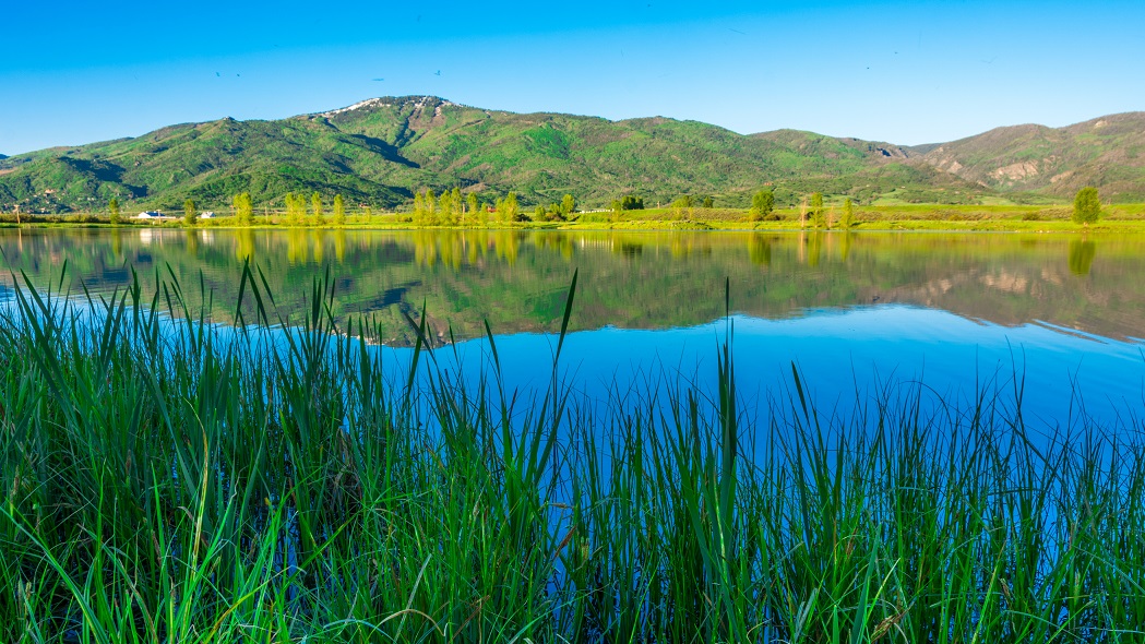 summer in steamboat springs