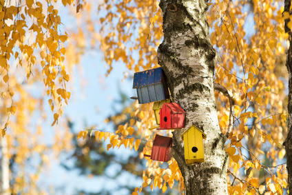 sell your home this season