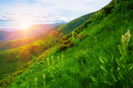buying vacant land