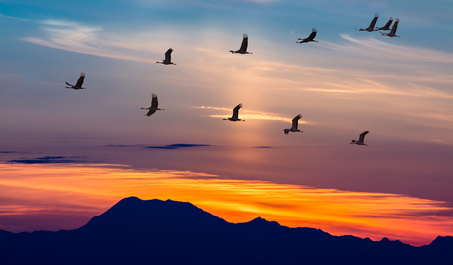 visit steamboat springs