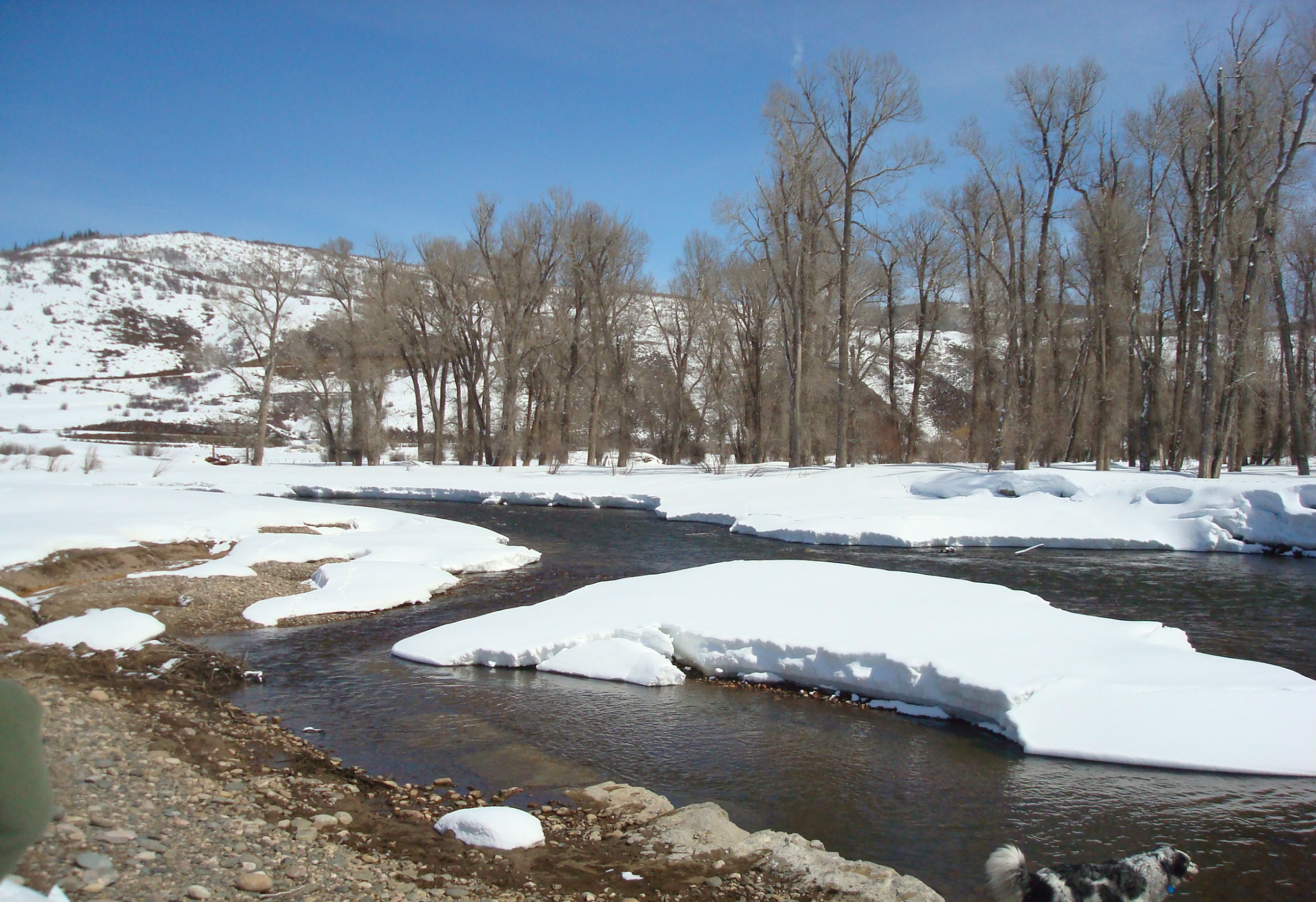 Steamboat Springs Real Estate Elk River Area