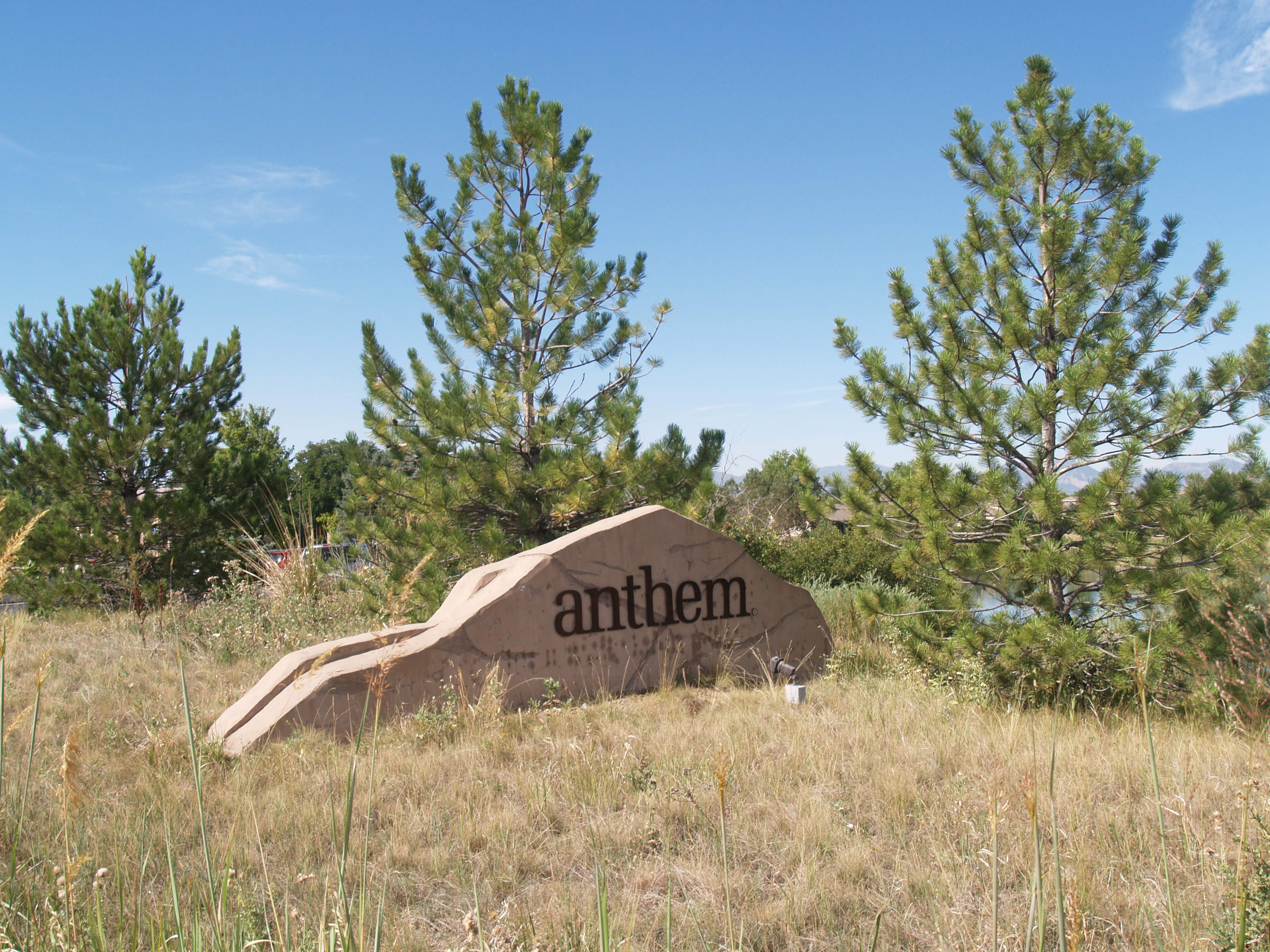 Homes for Sale in Anthem Ranch
