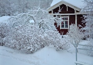 winter home