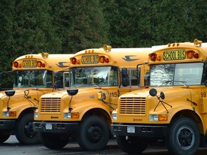 school bus