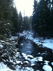 Denver Condos - Vail Snowy River