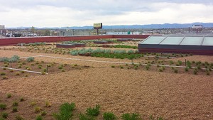 green spaces on roof