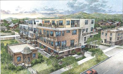 Hivu 29 lofts and townhomes for sale in Highlands / Jefferson Park Denver