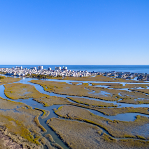Cherry Grove Waterview Condos For Sale