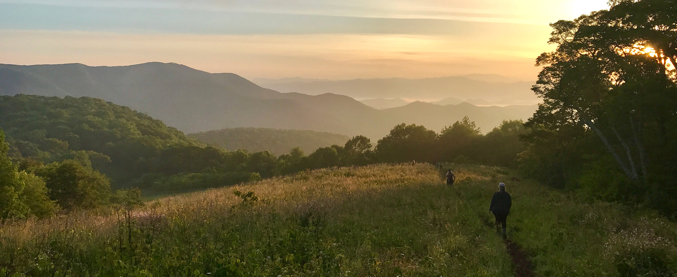 Franklin Nc Real Estate Franklin Nc Homes For Sale