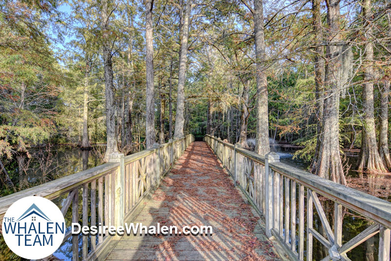Eagles Watch Homes for Sale in Hampstead, NC The Whalen Team