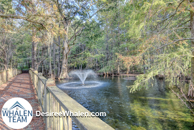 Eagles Watch Homes for Sale in Hampstead, NC The Whalen Team