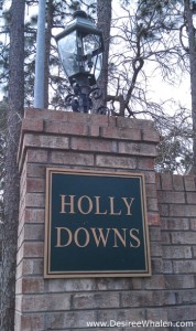 Holly Downs, Wilmington NC