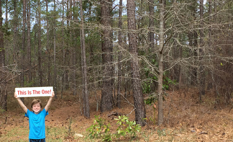 Lot for Sale in Waterberry Plantation Leland NC