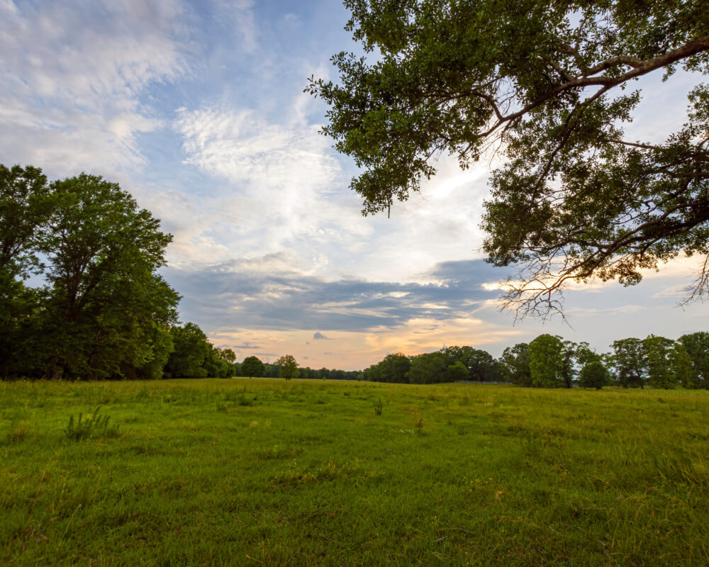 SWFL Acreage Real Estate