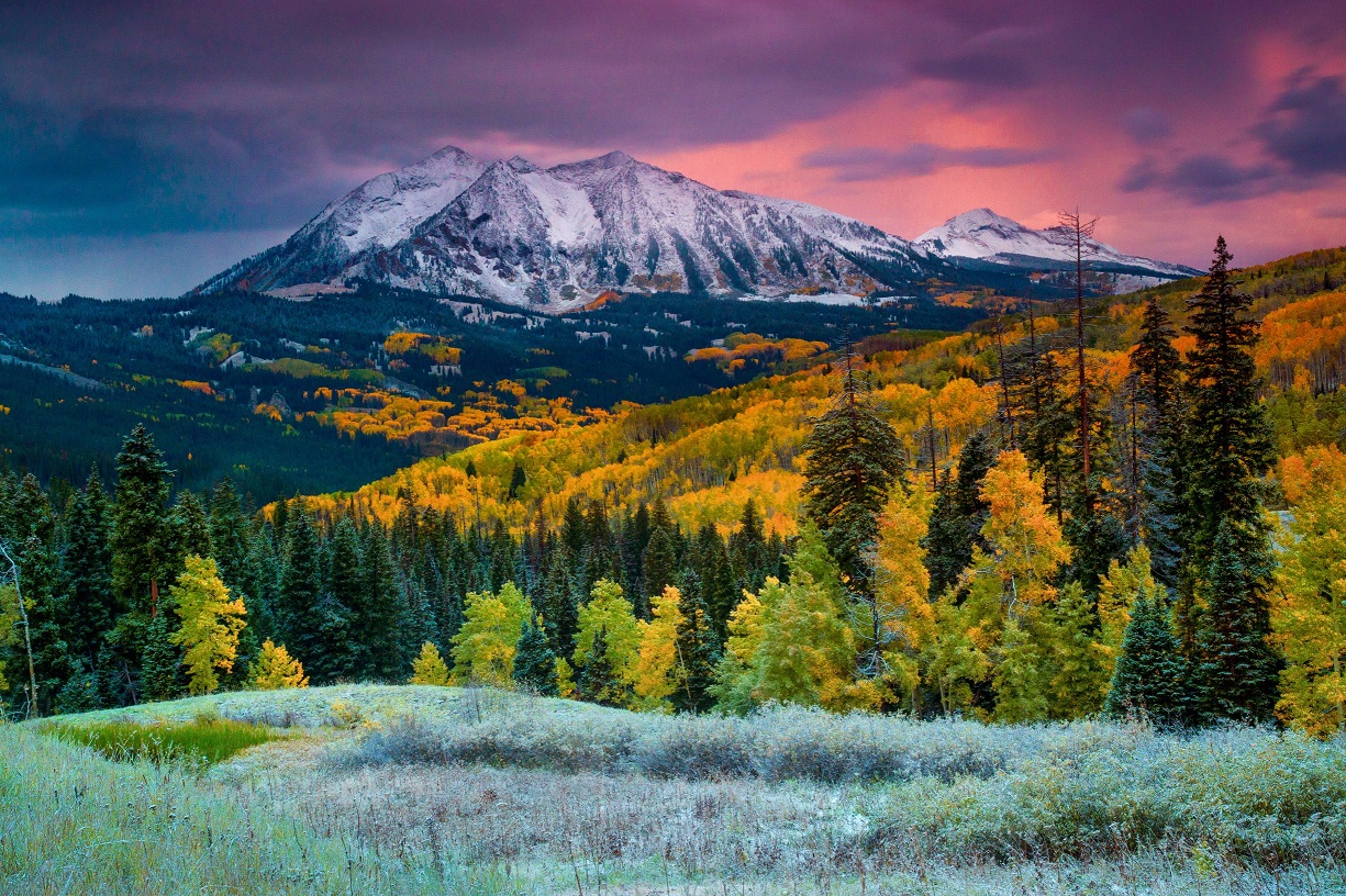 Kebler Pass Crested Butte