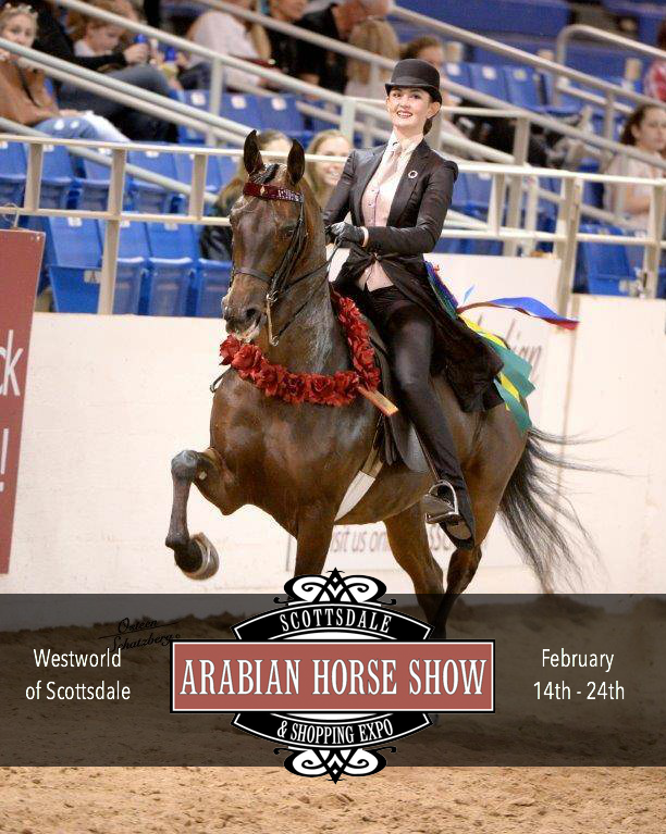 Scottsdale Arabian Horse Show