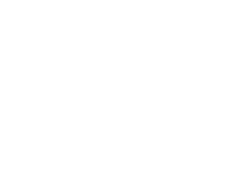 Disney Real Estate Services