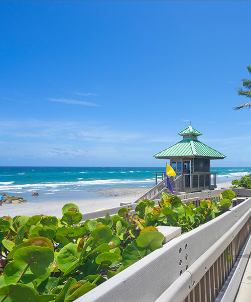 Florida Real Estate Experts