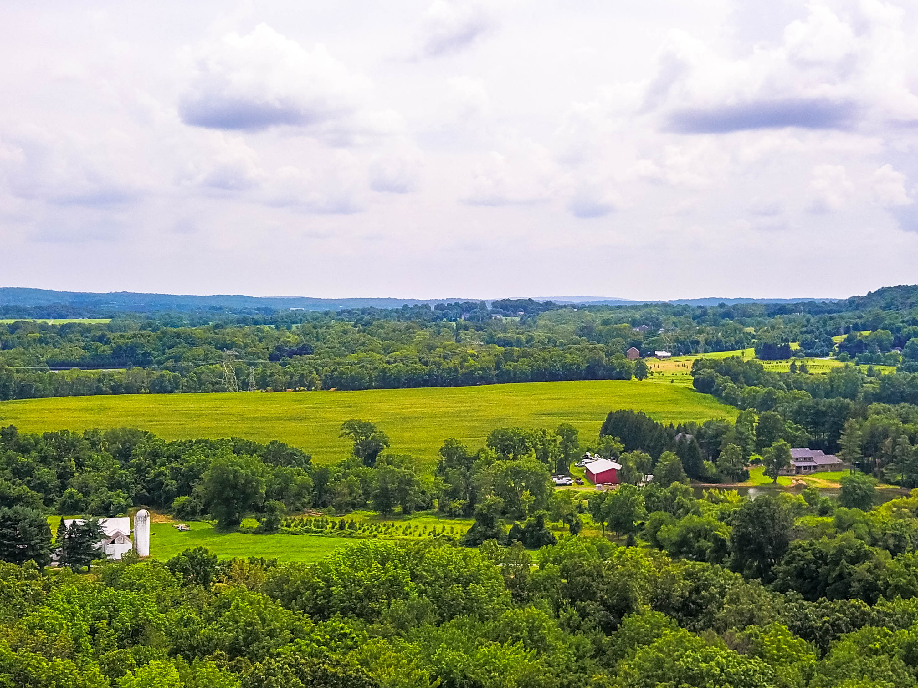 Chapman Ford Columbia >> Carol C. Dorey Real Estate, Inc. Chapman Ford Columbia >> Carol C. Dorey Real Estate, Inc.