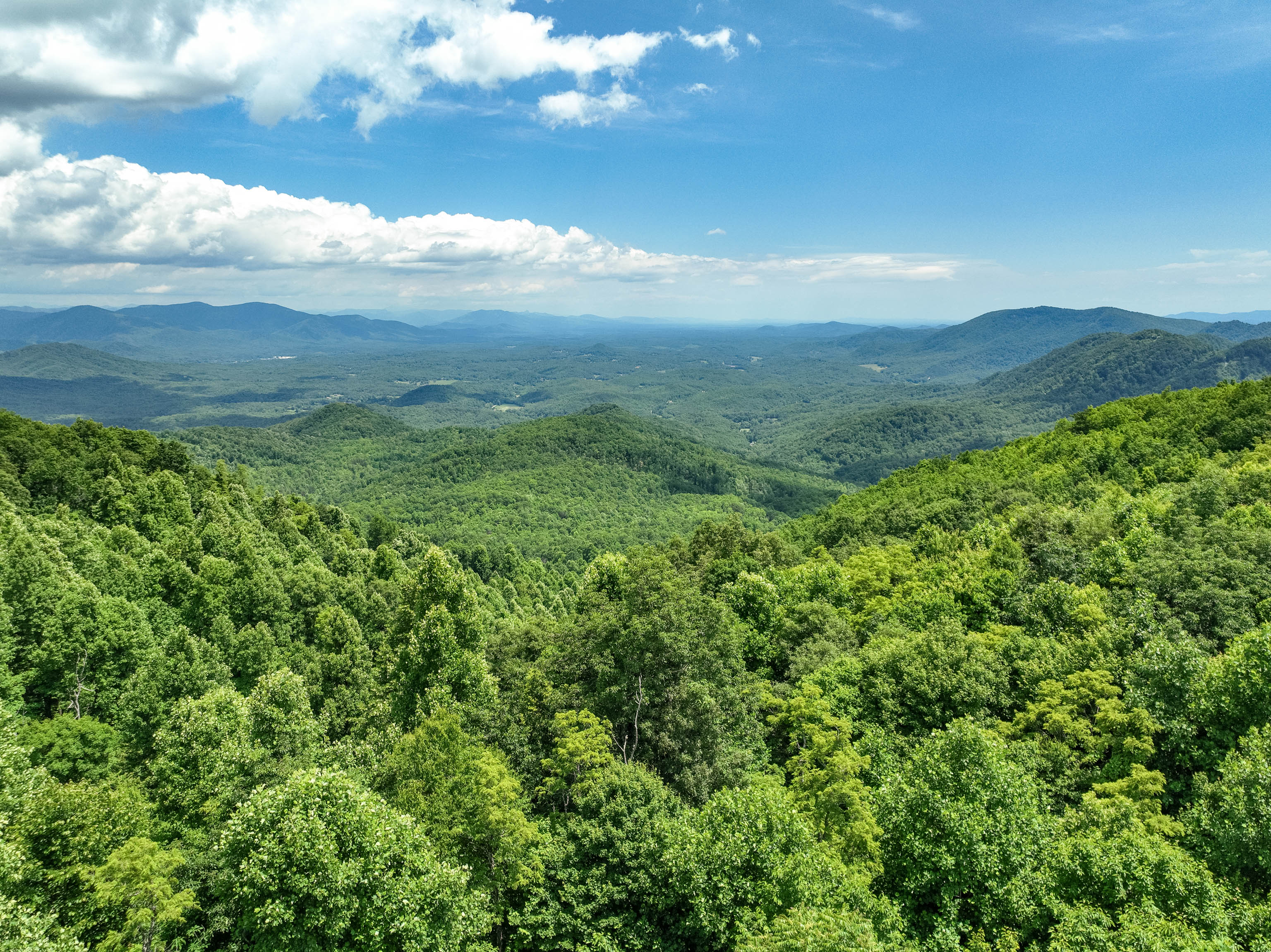 Asheville Real Estate Search